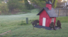 /Birds//Thumbs//found20250407-073148.png 