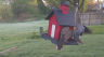 /Birds//Thumbs//found20250407-074102.png 