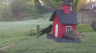 /Birds//Thumbs//found20250407-074303.png 
