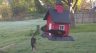 /Birds//Thumbs//found20250407-080430.png 