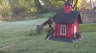 /Birds//Thumbs//found20250407-080851.png 