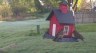 /Birds//Thumbs//found20250407-080927.png 