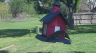 /Birds//Thumbs//found20250407-121222.png 