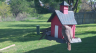 /Birds//Thumbs//found20250408-101533.png 