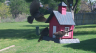 /Birds//Thumbs//found20250408-104454.png 