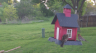 /Birds//Thumbs//found20250412-073012.png 
