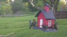 /Birds//Thumbs//found20250412-073520.png 