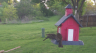 /Birds//Thumbs//found20250412-073635.png 