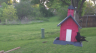 /Birds//Thumbs//found20250413-072243.png 