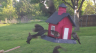 /Birds//Thumbs//found20250413-080145.png 