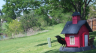 /Birds//Thumbs//found20250413-161307.png 