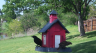 /Birds//Thumbs//found20250413-161339.png 
