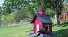 /Birds//Thumbs//found20250413-161342.png 