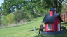 /Birds//Thumbs//found20250413-163506.png 