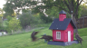/Birds//Thumbs//found20250414-072512.png 