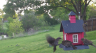 /Birds//Thumbs//found20250414-073008.png 