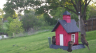 /Birds//Thumbs//found20250414-073052.png 