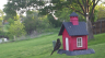 /Birds//Thumbs//found20250414-074453.png 