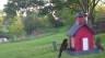 /Birds//Thumbs//found20250414-074656.png 