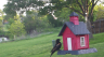 /Birds//Thumbs//found20250414-074745.png 