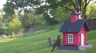 /Birds//Thumbs//found20250414-080005.png 