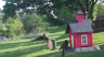 /Birds//Thumbs//found20250414-090349.png 