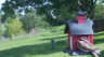 /Birds//Thumbs//found20250414-104209.png 