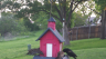 /Birds//Thumbs//found20250416-072110.png 