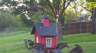/Birds//Thumbs//found20250416-074402.png 