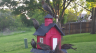 /Birds//Thumbs//found20250416-074421.png 