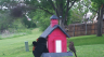 /Birds//Thumbs//found20250417-074321.png 