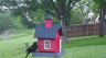 /Birds//Thumbs//found20250417-074854.png 