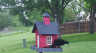 /Birds//Thumbs//found20250417-074933.png 