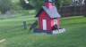 /Birds//Thumbs//found20250417-095833.png 