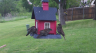 /Birds//Thumbs//found20250418-072445.png 