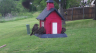 /Birds//Thumbs//found20250418-073358.png 