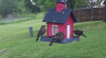 /Birds//Thumbs//found20250418-073412.png 