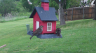 /Birds//Thumbs//found20250418-080026.png 