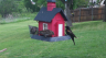 /Birds//Thumbs//found20250418-080123.png 