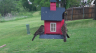 /Birds//Thumbs//found20250418-080135.png 