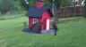 /Birds//Thumbs//found20250418-080227.png 
