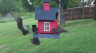 /Birds//Thumbs//found20250418-083657.png 