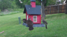 /Birds//Thumbs//found20250418-083702.png 