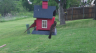 /Birds//Thumbs//found20250418-084801.png 