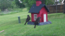 /Birds//Thumbs//found20250418-090212.png 