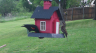 /Birds//Thumbs//found20250418-090413.png 
