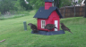 /Birds//Thumbs//found20250418-090952.png 