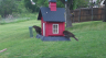 /Birds//Thumbs//found20250418-092439.png 
