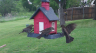 /Birds//Thumbs//found20250418-092622.png 