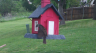 /Birds//Thumbs//found20250418-093156.png 
